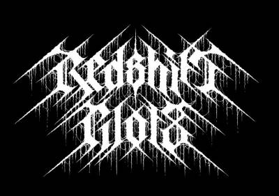 logo Redshift Pilots